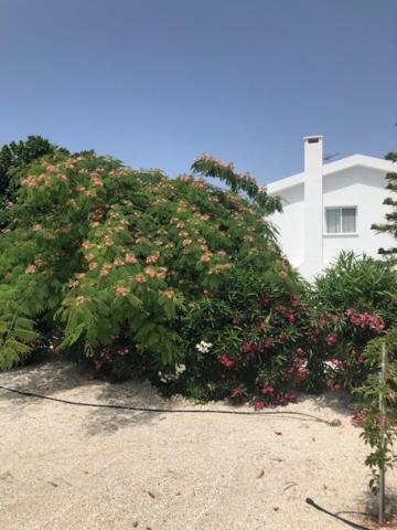 Villa Olivia, Coral Bay Exterior photo